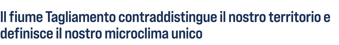 Il fiume Tagliamento contraddistingue il nostro territorio e definisce il nostro microclima unico